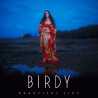 Birdy " Beautiful lies "