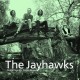 Jayhawks " Tomorrow the green grass "