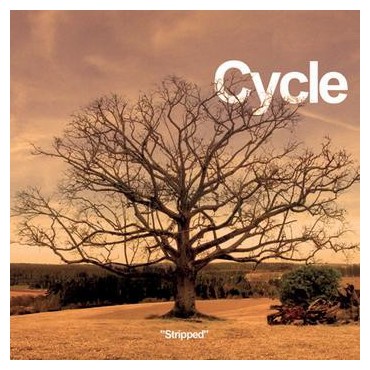 Cycle " Stripped "
