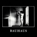 Bauhaus " In the flat field "