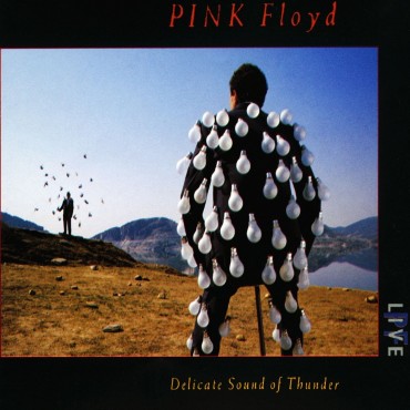 Pink Floyd " Delicate sound of thunder "