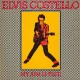 Elvis Costello " My aim is true "